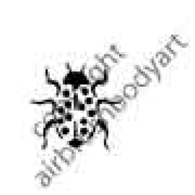 0250 ladybird reusable stencil